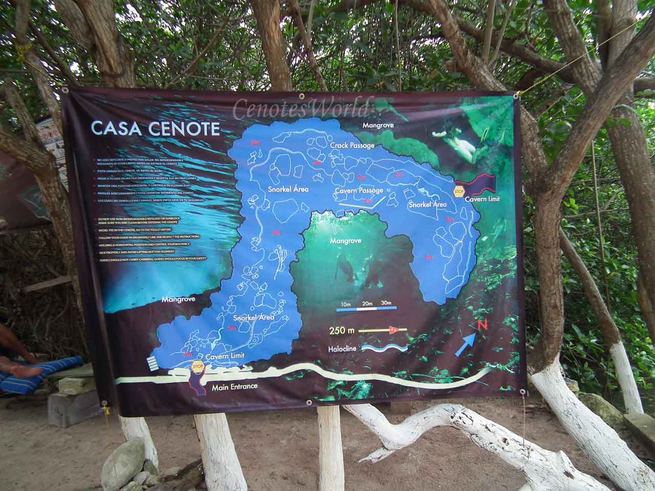 Casa Cenote