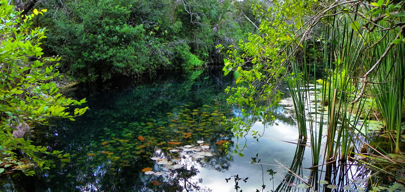 Cenote Carwash o Aktun Ha