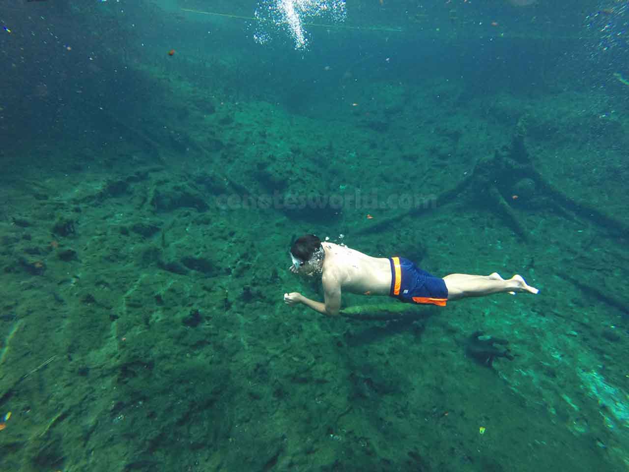 Cenote Cristal y Cenote Escondido 2x1