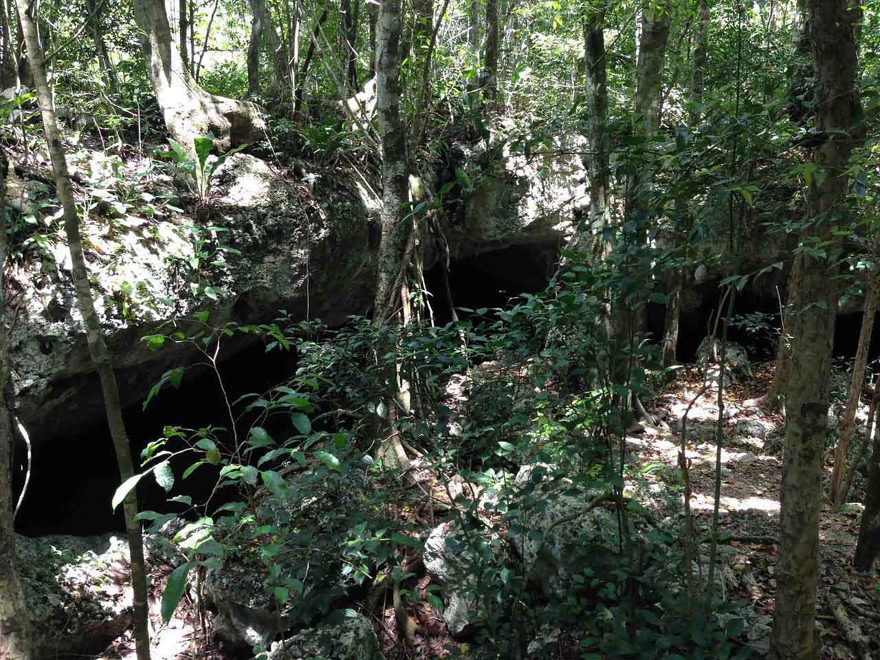 Cenote Dos Pisos