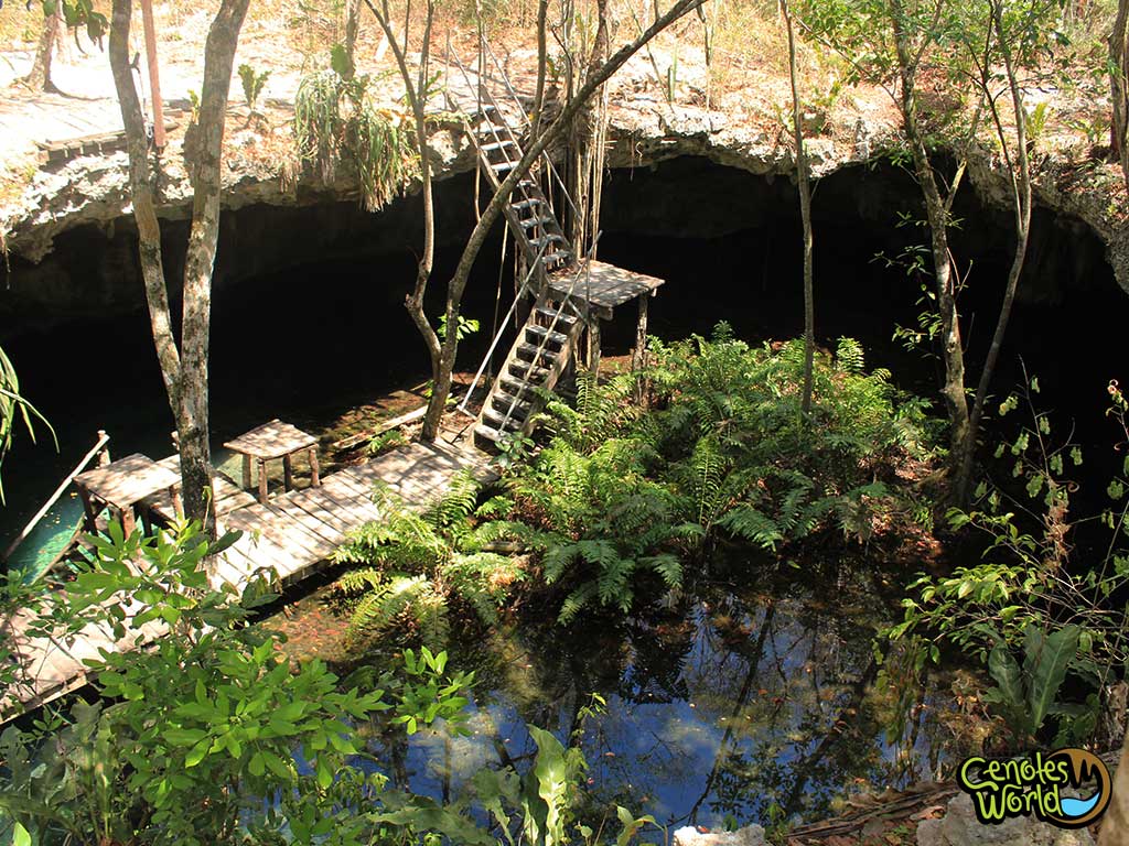 Cenote Dreamgate