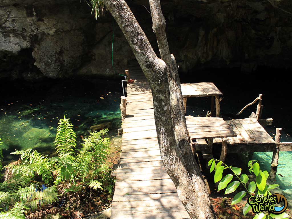 Cenote Dreamgate