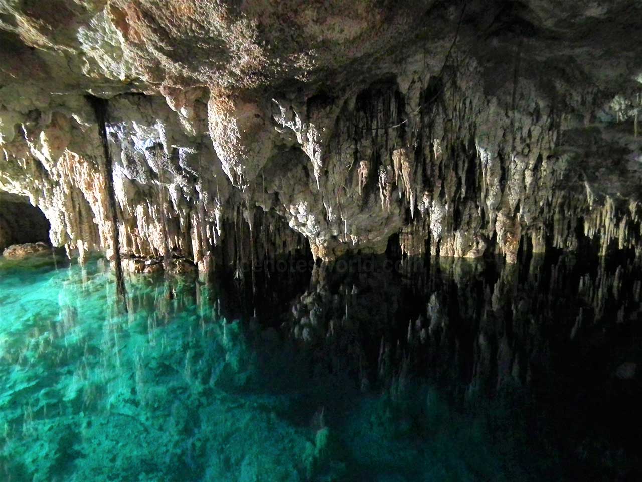Cenotes Zapote Eco Park