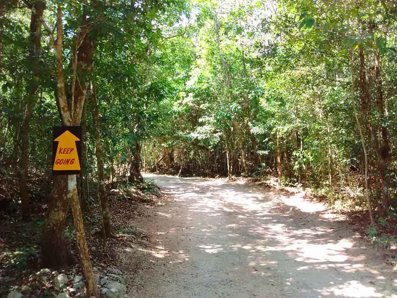Cenotes Zapote Eco-park