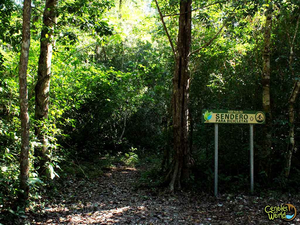 Cenote Síijil Noh Há