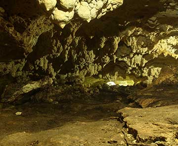 Cenote Boca del Puma