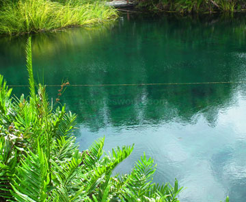 Cenote Cristal y Escondido