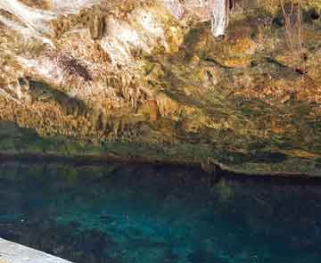 Cenote Dos Palmas