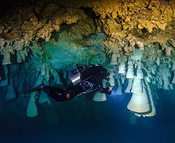 Cenotes Zapote Eco Park