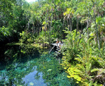 Cenote Nicte-Ha