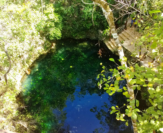 Cenotes Zapote Eco Park