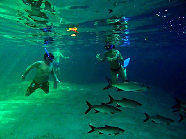 Snorkel en Cenote Manatí