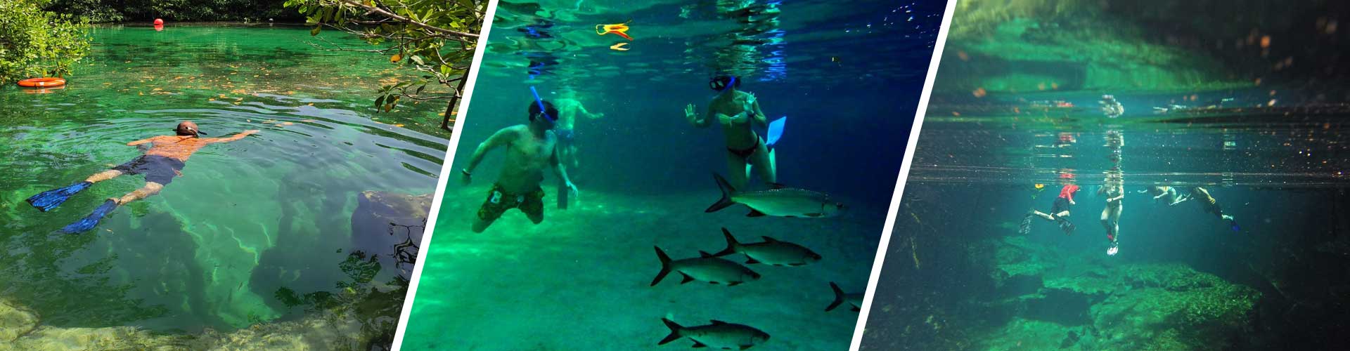 Snorkel in Manatee Cenote